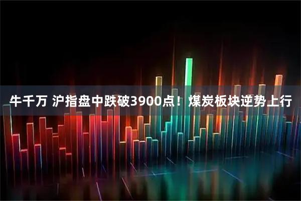 牛千万 沪指盘中跌破3900点！煤炭板块逆势上行